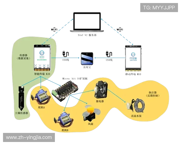 易盈体育：如何通过智能分析提升竞技体育的观赏性