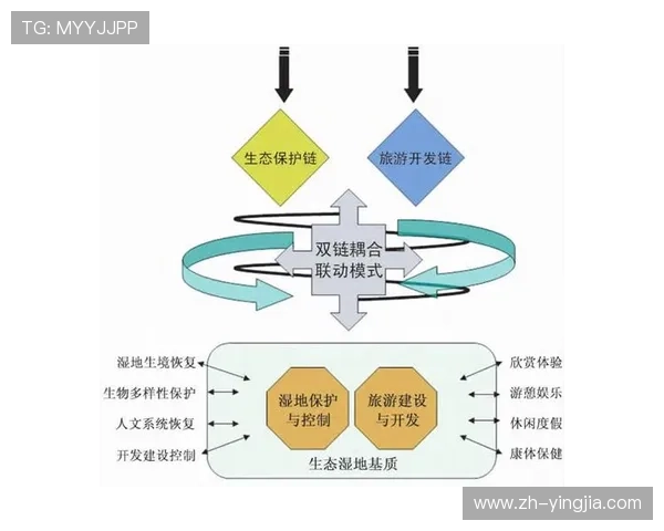 开元体育娱乐:多平台联动打造一站式体育娱乐生态系统的策略分析