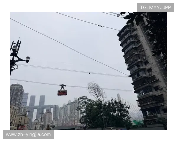 在熊猫体育直播平台上如何设置提醒功能不错过任何重要赛事