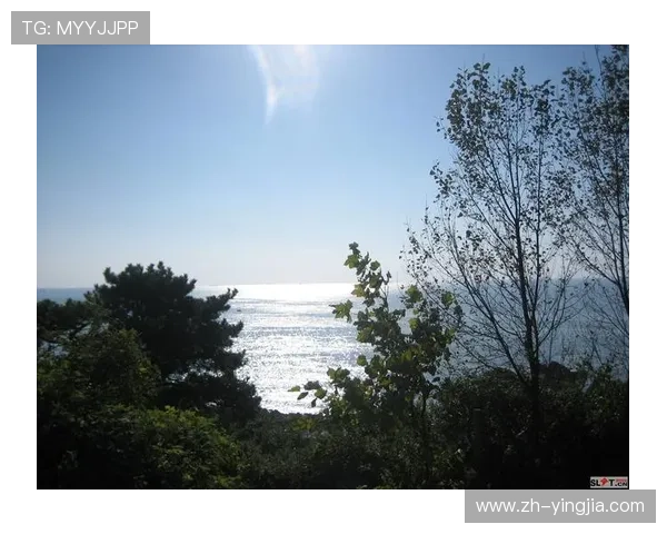 半岛体育登录入口更新通知及登录流程优化提升用户体验的方法